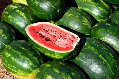 娱乐圈吃瓜图片素材下载